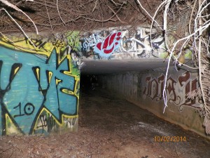 765tunnel2