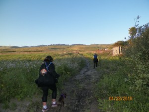 The path that led to the crazy dude, we saw NO private property signs!