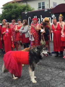 Even poon doggy was dressed to impress in red!