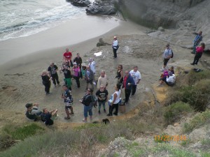 A bunch of wankers on a beach