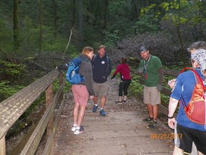 Bridge over troubled water